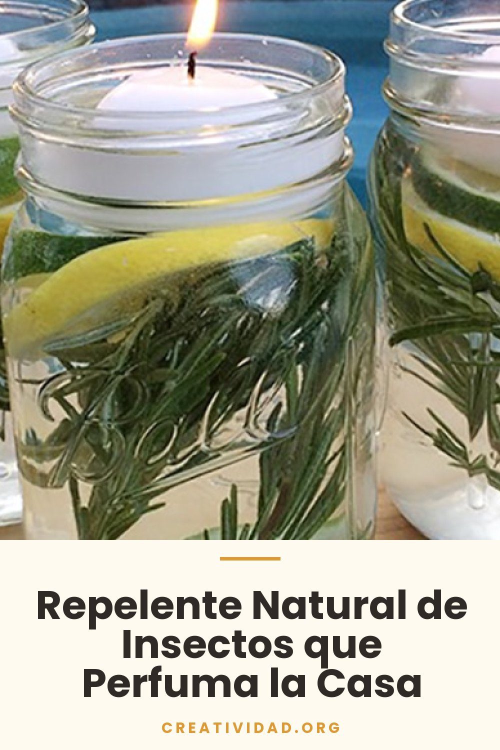 Repelente Natural de Insectos que Perfuma la Casa