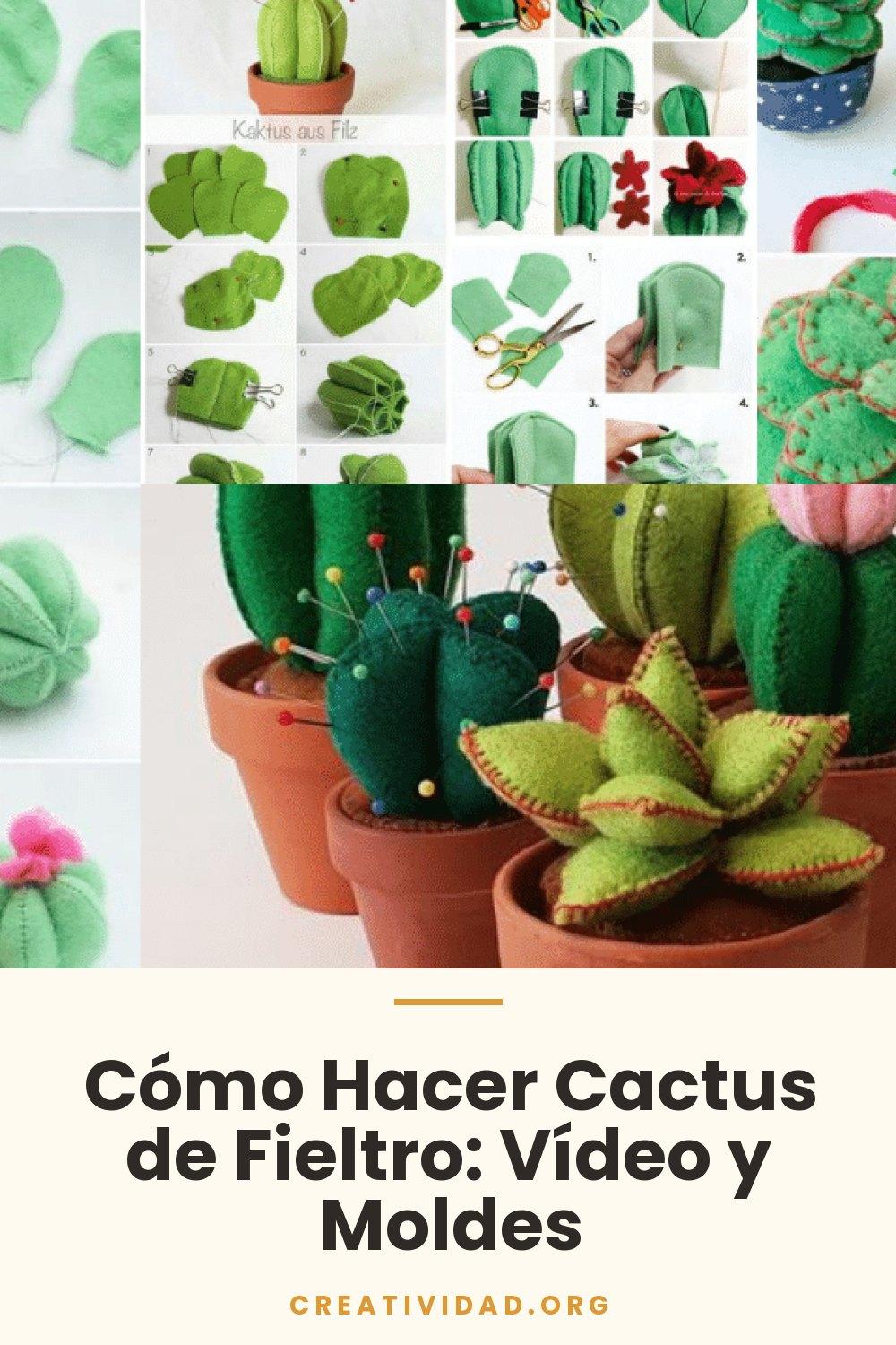 Cómo Hacer Cactus de Fieltro: Vídeo y Moldes