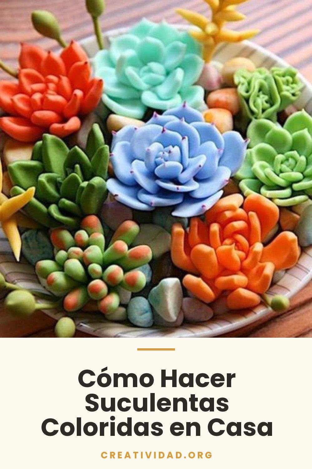 Cómo Hacer Suculentas Coloridas en Casa