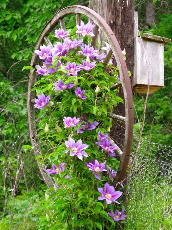 decoracion de jardin rustica 6