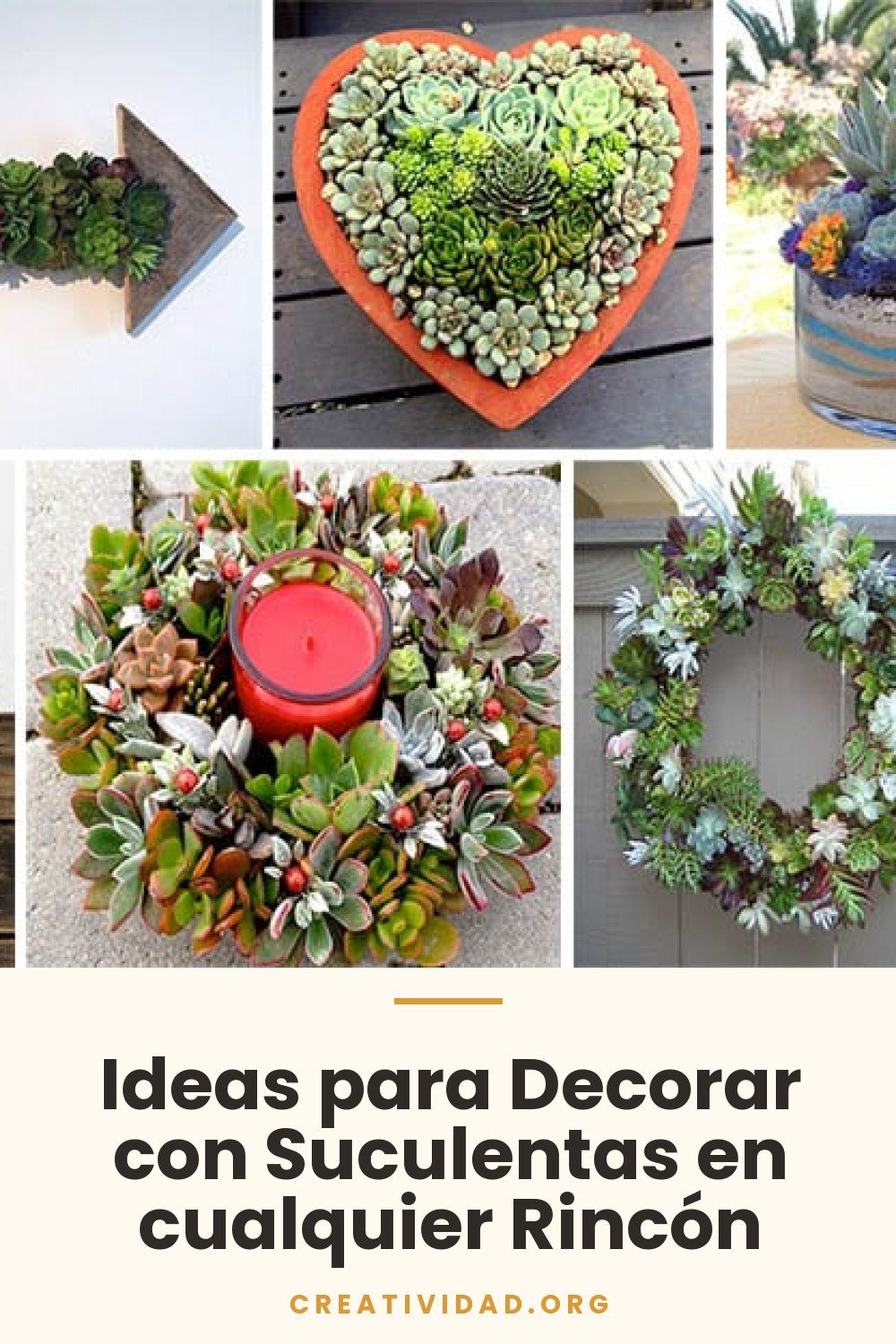 Ideas para Decorar con Suculentas en cualquier Rincón