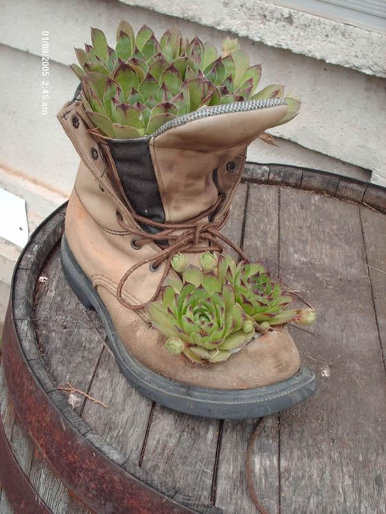 ideas creativas para decorar con zapatos viejos 5