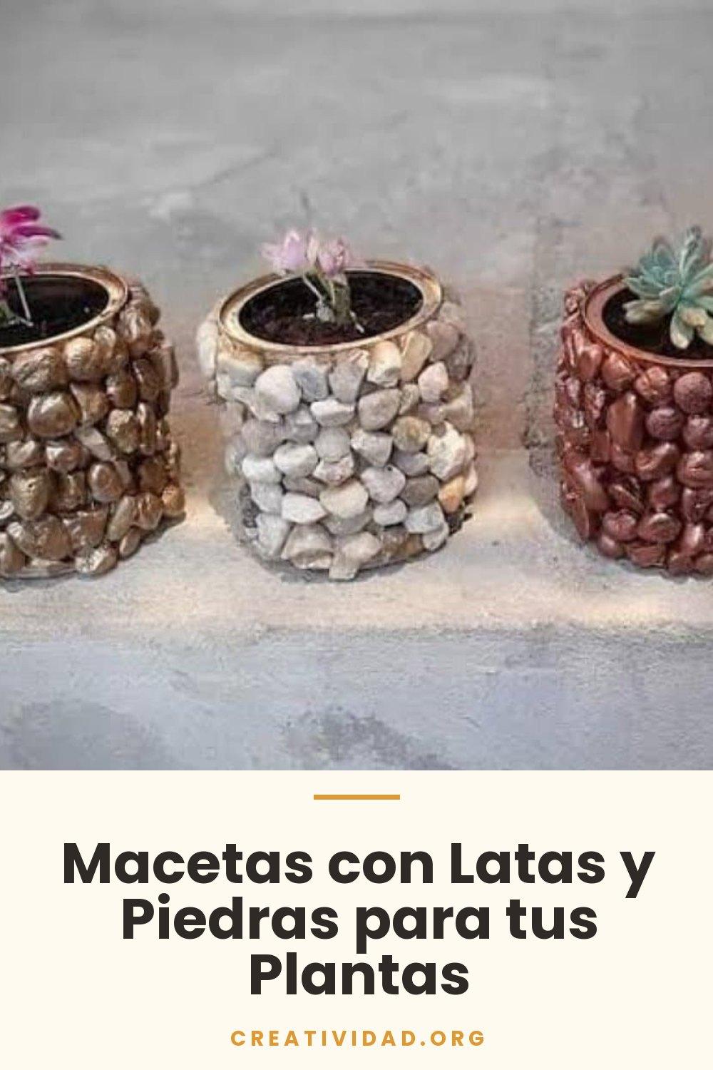 Macetas con Latas y Piedras para tus Plantas