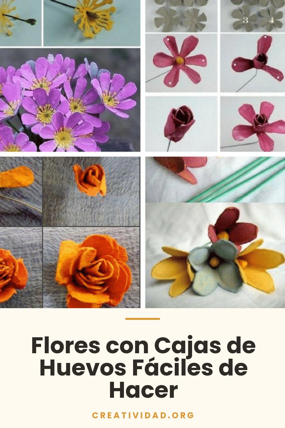 Flores con Cajas de Huevos Fáciles de Hacer