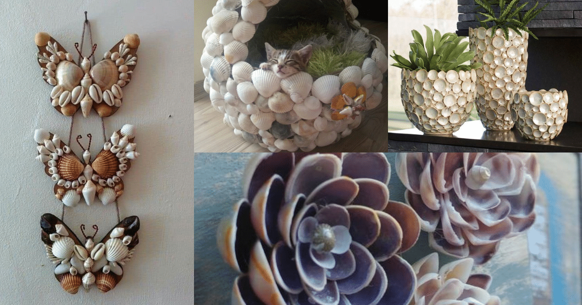 ideas hechas con conchas de mar