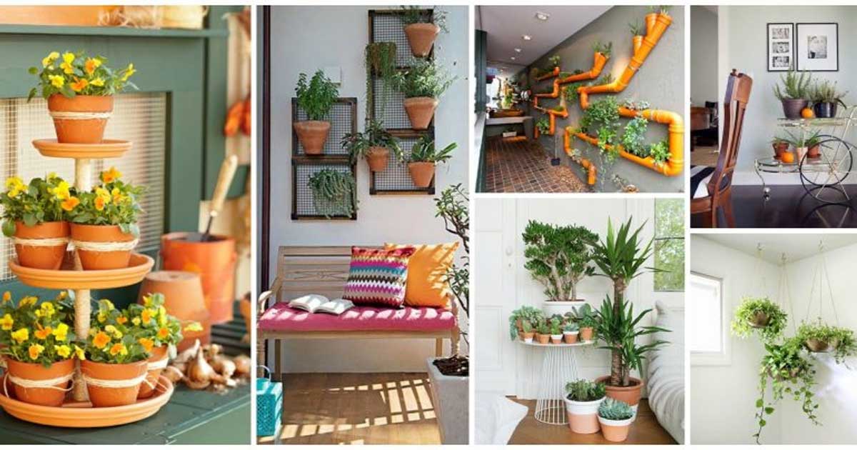 Jardines Interiores Perfectos Para Casas Modernas Creatividad