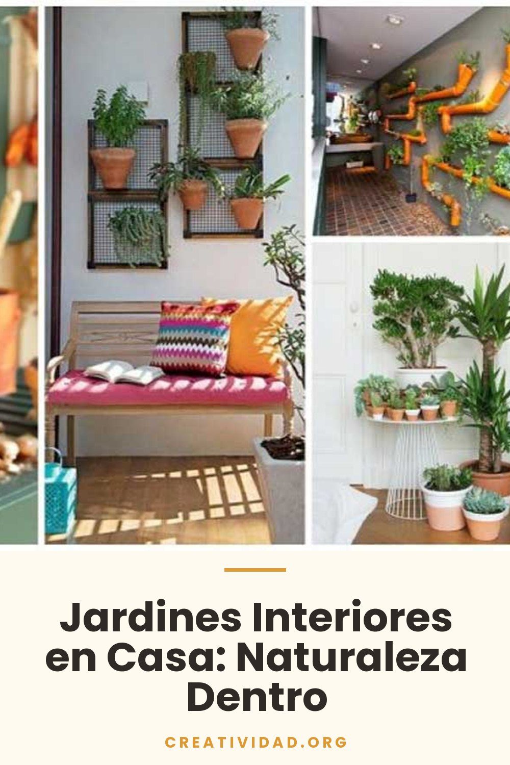 Jardines Interiores en Casa: Naturaleza Dentro