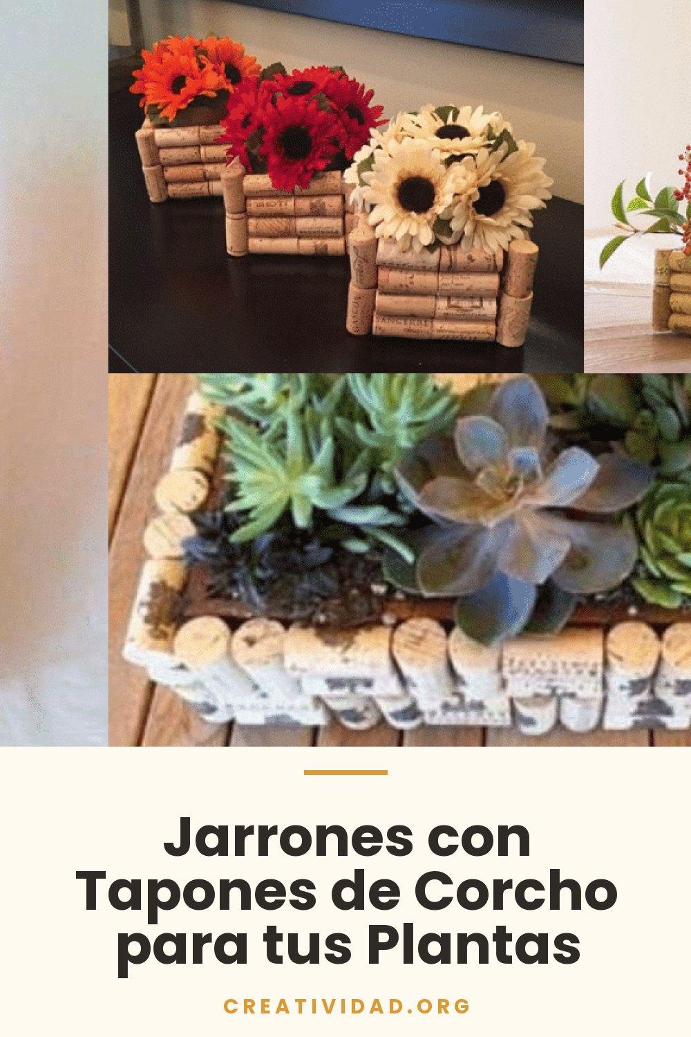 Jarrones con Tapones de Corcho para tus Plantas