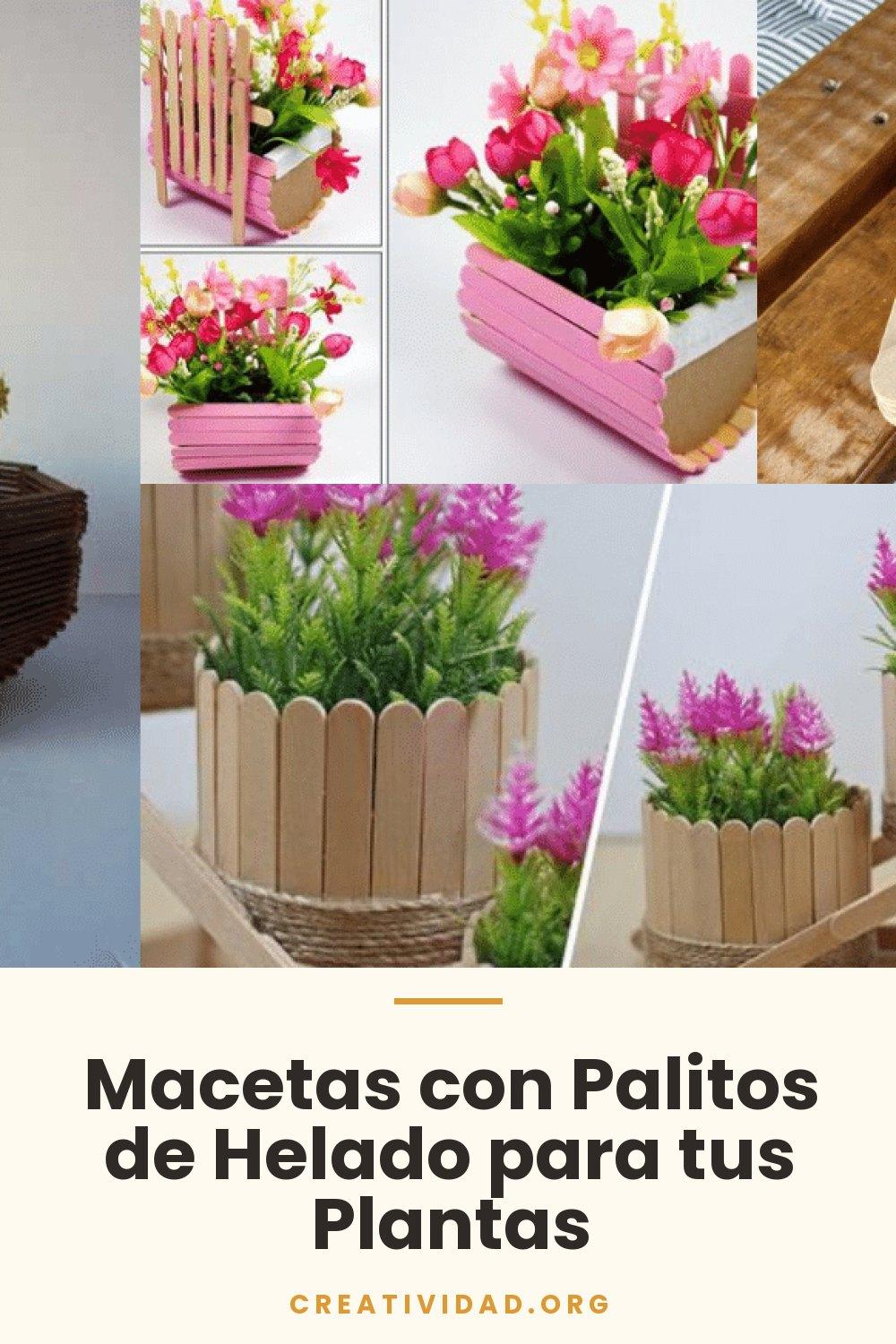 Macetas con Palitos de Helado para tus Plantas